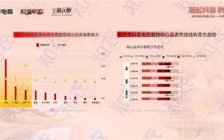 抖店补单分析，策略、技巧与实践洞察