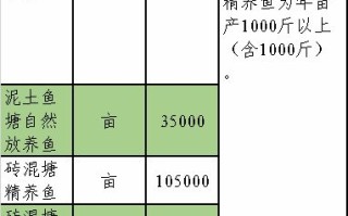 鱼塘补单效果深度解析