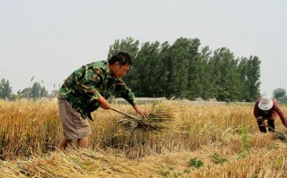 淘宝直播开通全攻略，从零起步成为淘宝直播主播