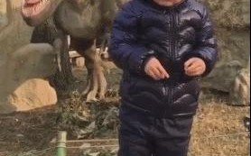 淘宝购物心得分享，如何轻松查看自己的好评率