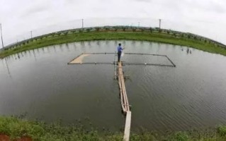 鱼塘补单操作详解，提升效率与效果的策略指南