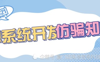 补单平台的选择，安全与效率的双重考量