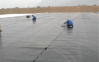 鱼塘补单效果深度解析