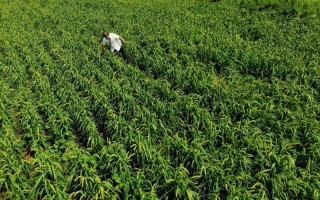 淘宝长尾词组合方法，深挖潜力，提升搜索流量