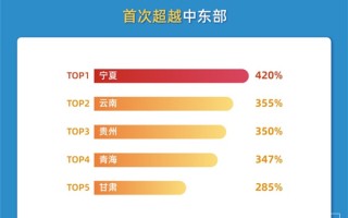 淘宝如何看全年营业额，解析与洞察