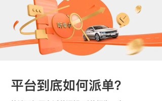 放单接单平台的崛起与未来发展