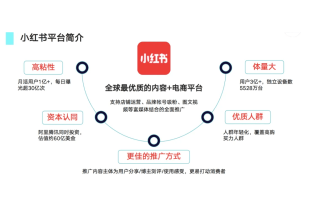 小红书补单平台费用解析