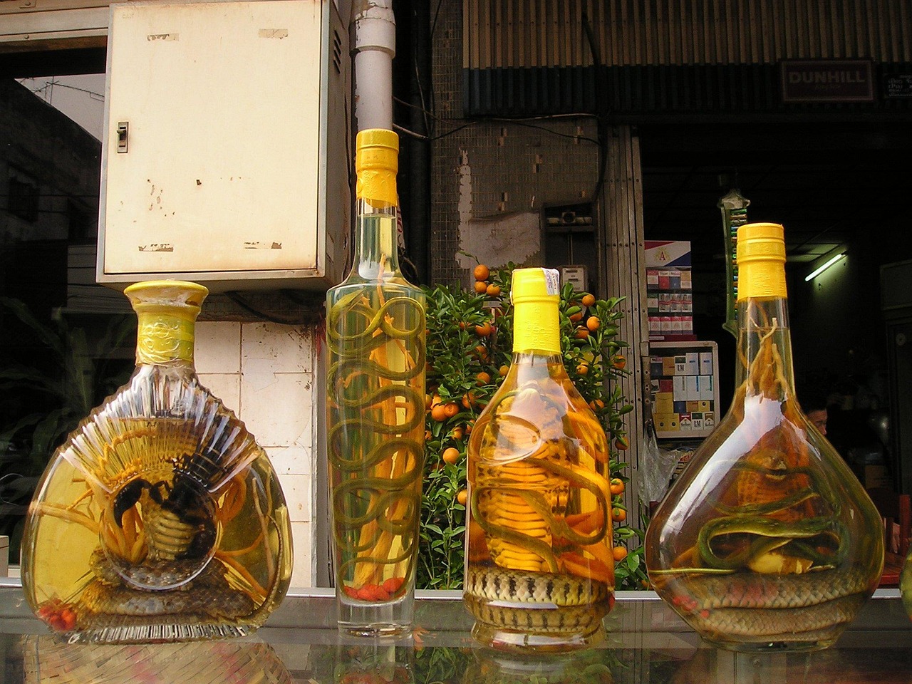 世界十大精酿啤酒品牌2025年排名前十名榜单出炉
