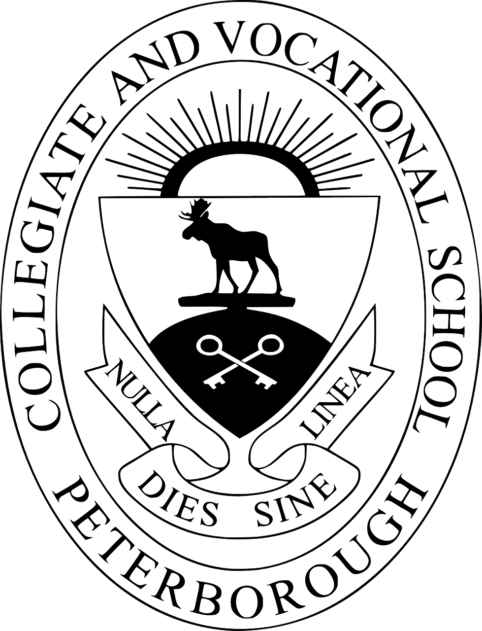 世界上特别大的几种蛋2025年排名前十名榜单出炉