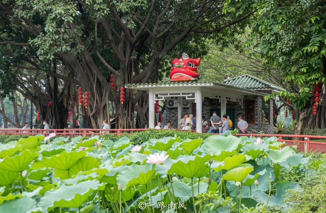 广州十大公园排行榜2025年排名前十名榜单出炉