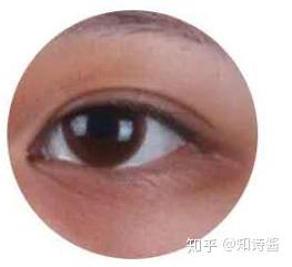 韩国平价眼霜排行榜10强2025年排名前十名榜单出炉