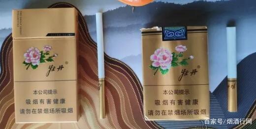 20元以内什么烟比较好抽 20以内好抽的香烟排行榜