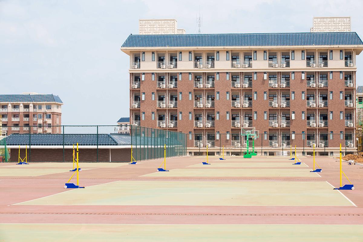 纪实文学排行榜2025特别新排名前十名分析