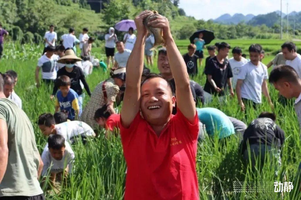 贵烟印第安火种好抽吗 贵烟印第安火种口感测评