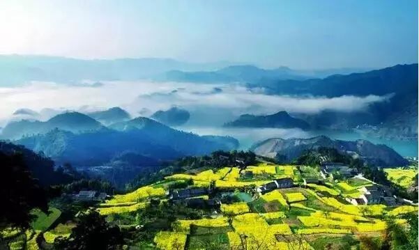 春季十大旅游特别佳去处2025近期排名前十名分析