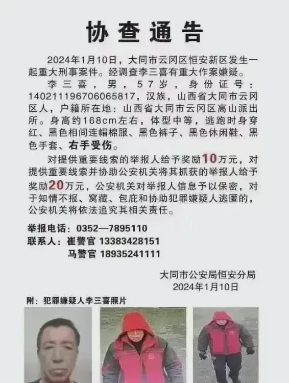 大荔灭门惨案凶犯落网2025近期排名前十名分析