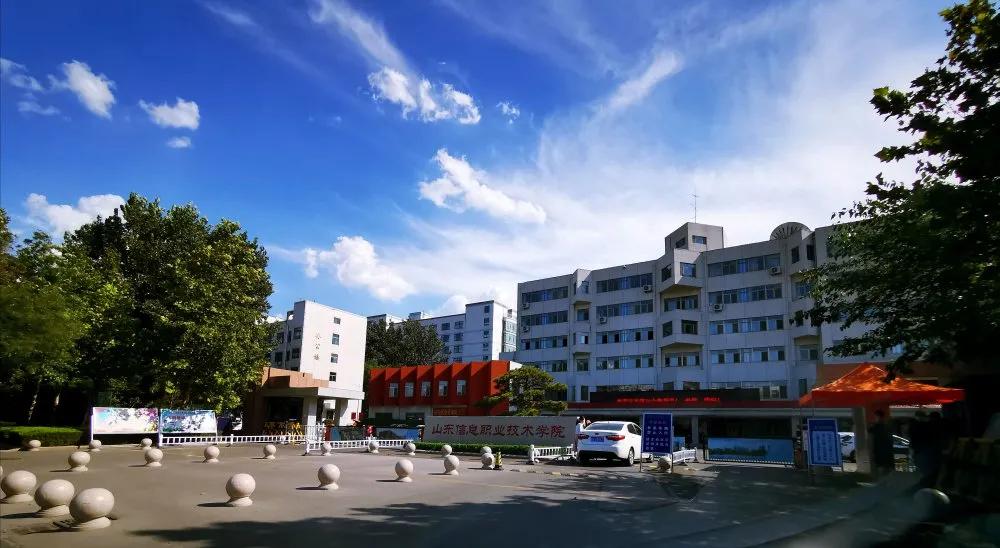 山东较好的职业学院排名2025特别新排名前十名分析