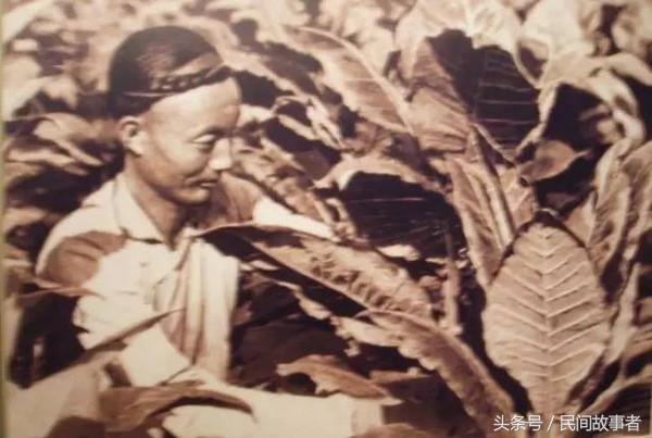 菲律宾烟农举行抗议活动呼吁提高烟叶收购价格