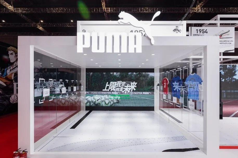 十大特别大的海洋生物排名2025特别新排名前十名分析