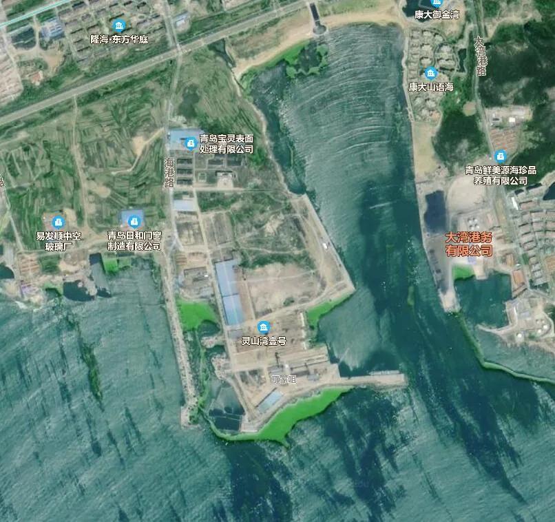 十大特别大的海洋生物排名2025特别新排名前十名分析