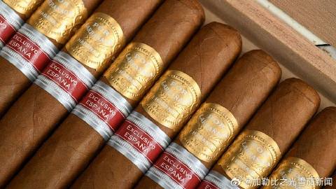 古巴雪茄烟波尔拉腊尼亚加宾丽好抽吗 静享柔润悠悠清甜香