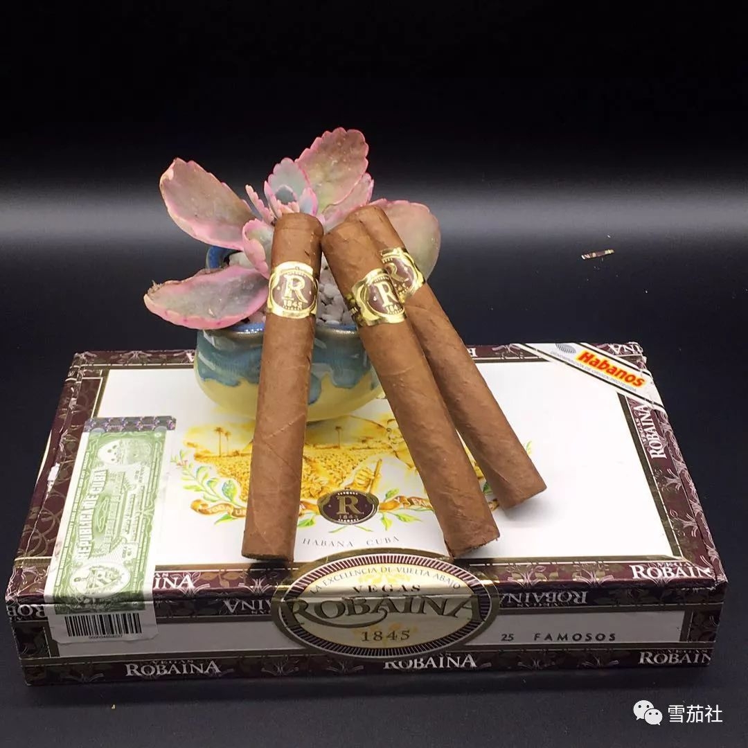 古巴雪茄烟波尔拉腊尼亚加宾丽好抽吗 静享柔润悠悠清甜香