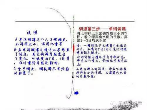 鱼塘补单操作详解，提升效益与效率的秘诀