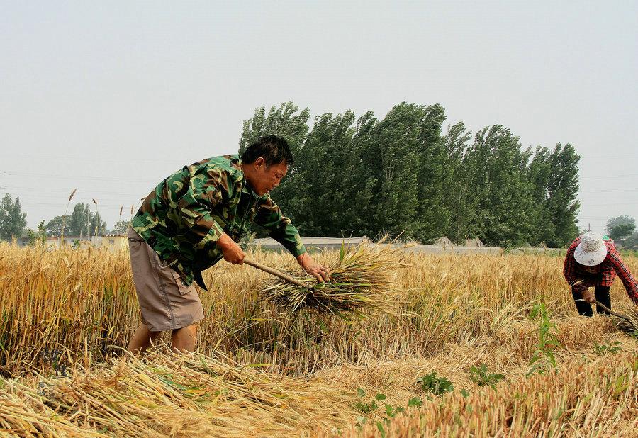 淘宝直播开通全攻略,从零起步成为淘宝直播主播 淘宝直播开通全攻略,从零起步成为淘宝直播主播