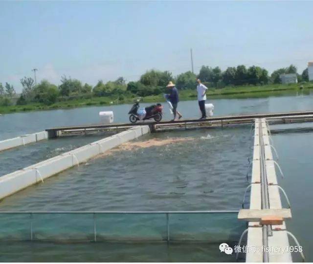 鱼塘平台补单安全措施详解