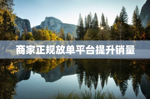 商家正规放单平台提升销量