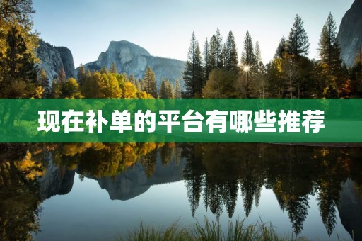 现在补单的平台有哪些推荐