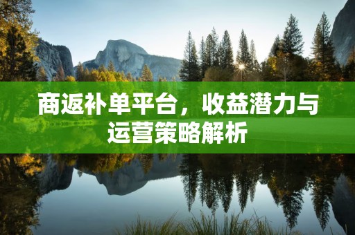 商返补单平台，收益潜力与运营策略解析