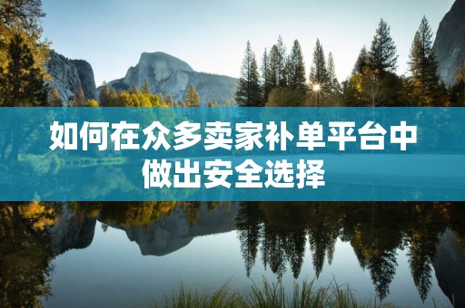 如何在众多卖家补单平台中做出安全选择