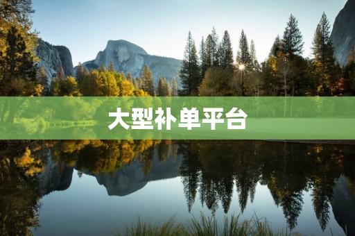 大型补单平台