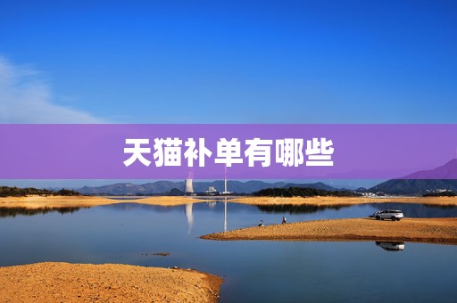 天猫补单有哪些