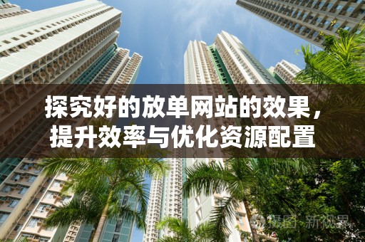 探究好的放单网站的效果，提升效率与优化资源配置