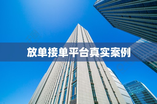 放单接单平台真实案例