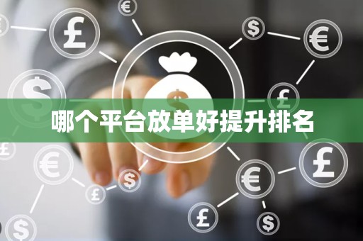哪个平台放单好提升排名