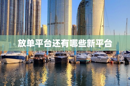 放单平台还有哪些新平台