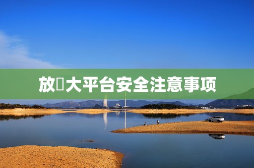 放單大平台安全注意事项