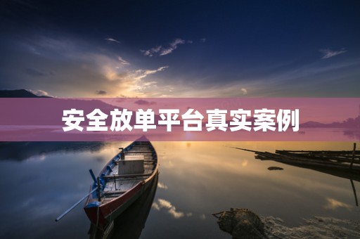 安全放单平台真实案例