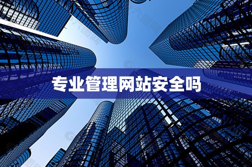 专业管理网站安全吗