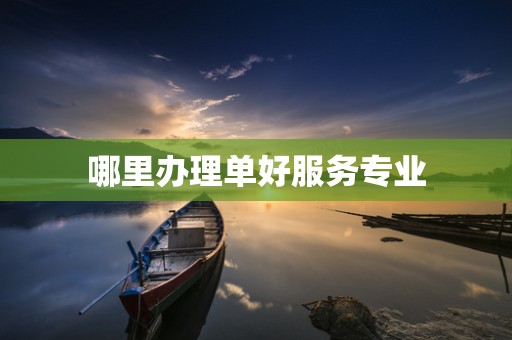 哪里办理单好服务专业