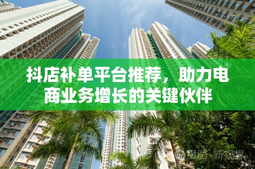 抖店补单平台推荐，助力电商业务增长的关键伙伴