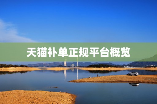 天猫补单正规平台概览