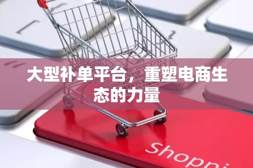 大型补单平台，重塑电商生态的力量