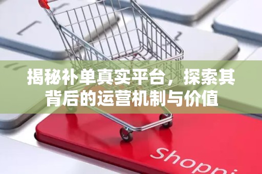 揭秘补单真实平台，探索其背后的运营机制与价值