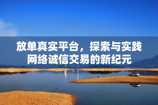 放单真实平台，探索与实践网络诚信交易的新纪元