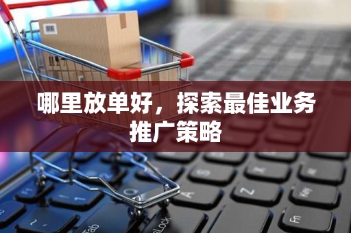 哪里放单好，探索最佳业务推广策略