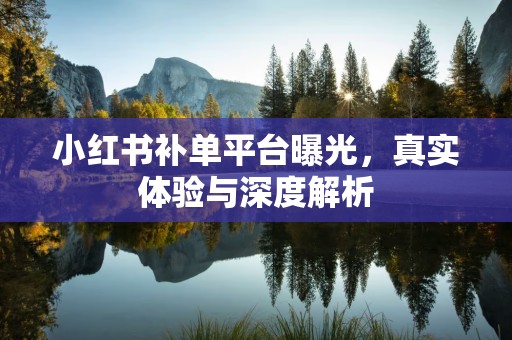 小红书补单平台曝光，真实体验与深度解析